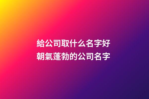 給公司取什么名字好 朝氣蓬勃的公司名字-第1張-公司起名-玄機派